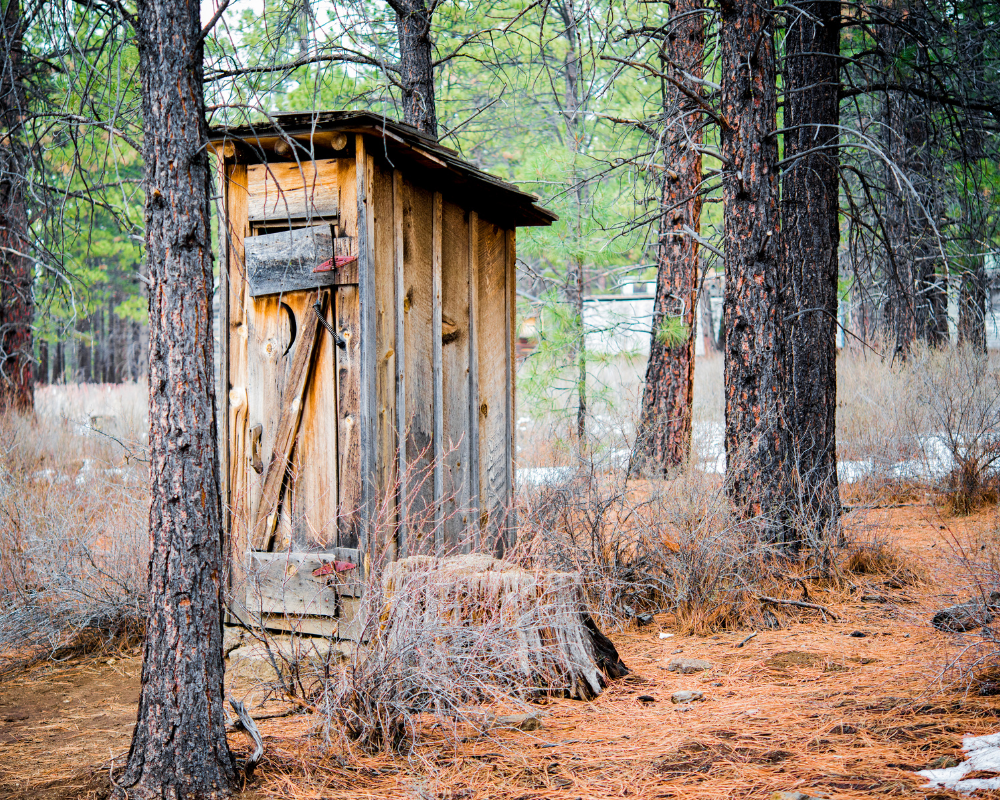 Čím zasypat suchý záchod- piliny, popel nebo bakterie5